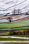 Winter landscape in Upper Wharfedale Yorkshire England