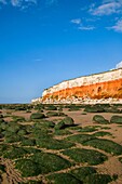 Colourful Hunstanton Cliffs Norfolk England