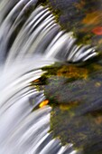 Aysgarth Falls Wensleydale North Yorkshire England