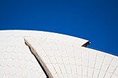 The Opera House Sydney New South Wales Australia