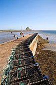 Lobster post and The Castle Lindisfarne Northumberland England