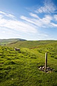 Footpath near Alwinton Upper Coquetdale Northumberland England