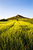 Roseberry Topping on a Summer Evening North Yorkshire England