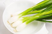 Spring onions in a white bowl on a white background