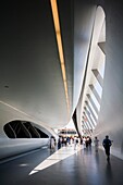 ExpoZaragoza 2008 and the Bridge Pavilion of Zaha Hadid arquitect