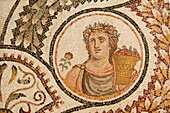 Roman Mosaic, Bardo Museum, Tunis, Tunisia, North Africa