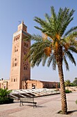 Koutoubia Mosque and Palm Tree, Marrakesh, Morocco, North Africa