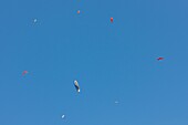 Paragliders fly above the Oludeniz village Province of Mugla, Turkey