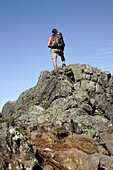 Hiker on Caps Ridge Trail in the White Mountains, New Hampshire USA