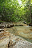 Crystal Brook in the Pemigewasset Wilderness of Lincoln, New Hampshire USA
