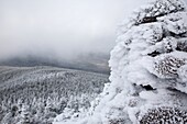 Rime ice on the summit of Mount Liberty during the winter months in the White Mountains, New Hampshire USA