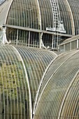 The Palm House at the Royal Botanic Gardens, Kew, London, England