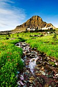 Waterfalls and wildflowers at Hanging Garden at Logan Pass, Glacier National Park, Montana