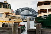 Line boats and Harbour Bridge, Circular Quay, Sydney, New South Wales, Australia