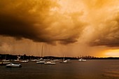 Parsley Bay, New South Wales, Australia