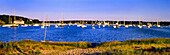 Boats anchored in Chatham Harbor