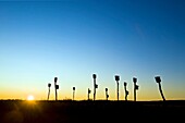 Birdhouses placed in a salt marsh, Sandwich, Cape Cod, MA, Massachusetts