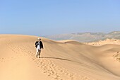 dunes around Tamri on Atlantic Coast, between Agadir and Essaouira, Morocco, North Africa