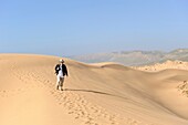 Dünen um Tamri an der Atlantikküste, zwischen Agadir und Essaouira, Marokko, Nordafrika