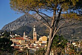 Menton, French Riviera, Alpes-MaritimesMaritime Alps, France