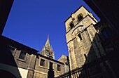 Cathedral of Oviedo Asturias Spain