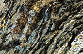 Slate Metamorphic rock Pyrenees Spain Petrograhic microscope