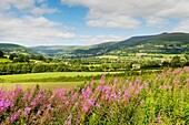The Usk Valley near Crickhowell in the Brecon Beacons National Park Wales