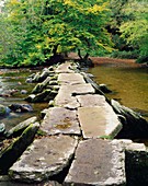 The prehistoric clapper bridge of Tarr Steps over the river Barle in Exmoor National Park near Liscombe, Somerset, England, United Kingdom