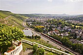 Europe, Germany, Rhineland, area of Bonn, Ahrweiler, wineyards, trail of the wine, panoramic view