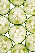 thin slices of cucumber lit from behind, edges touching making a tiled pattern