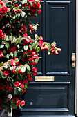 Strauch mit roten Blüten vor Haustüre, Wohnhaus