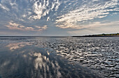 Wadden Sea National park in Doese, Cuxhaven, North Sea, Lower Saxony, Germany