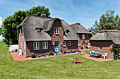 House with thatched roof, Honkenswarf, Hallig Langeness, North Sea, Schleswig-Holstein, Germany