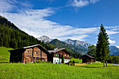 Bauernhäuser bei Kleinarl, Salzburger Land, Österreich