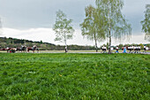 Kapelle, Maibaumfest,  Sindelsdorf, Weilheim-Schongau, Bayerisches Oberland, Oberbayern, Bayern, Deutschland