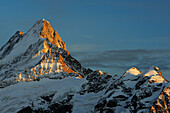 Verschneite Berge Lauteraarhorn und Schreckhorn, Bussalp, Grindelwald, UNESCO Welterbe Schweizer Alpen Jungfrau - Aletsch, Berner Oberland, Bern, Schweiz, Europa