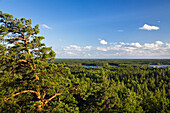 Aussicht vom Aussichtsturm Aboda über Wälder und Seen, Aboda Klint, Smaland, Südschweden, Schweden, Skandinavien, Europa