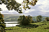 Landschaft am Llyn Tegid, See bei Bala, Gwynedd, Nord-Wales, Wales, Großbritannien
