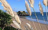 View over beach to St Catherine's Island with castle, Tenby, Pembrokeshire, Wales, United Kingdom