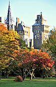 Bute park with Cardiff Castle in the background, Cardiff, south-Wales, Wales, Great Britain