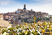 Siena, Tuscany, Italy