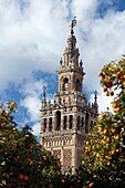 the Giralda tower, Renaissance work by Hernan Ruiz over the Moorish minaret, Seville, Spain