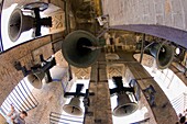 bells of La Giralda, Cathedral of Seville, Andalusia, Spain