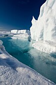 During the Arctic spring, the surface of the frozen arctic ocean begins to crack under stress especially around large frozen in icebergs which flex the surrounding ice in the tides The ice thins from above and also from the action of currents and warmer