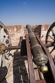 Caono standing at Fort Mehrangarhin Rajasthan India