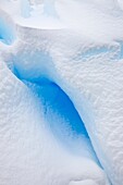 Iceberg detail in and around the Antarctic Peninsula during the summer months, Southern Ocean MORE INFO An increasing number of icebergs is being created as climate change is causing the breakup of major ice shelves and glaciers