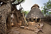 Traditional Konso village on a mountain ridge overlooking the rift valley Community house for the unmarried boys and men The Konso are living in tradtional villages with compunds for each family The compounds are connected by a maze of stone walled and