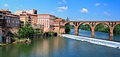 Tarn river, Albi, France