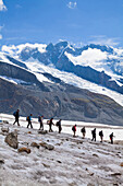 Hikers on a Gorner glacier to Monte Rosa Hut, Breithorn in background, Zermatt, Kanton of Valais, Switzerland, myclimate audio trail