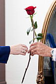 Ein alter Mann überreicht einer alten Frau eine Rose